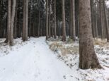 Pozostatok po žltej trase, ktorá viedla medzi Rapantovým vrchom, Vápenicou, Starým Hrozenkovom a Žítkovou až do prelomu 1970. a 1980. rokov (2025)